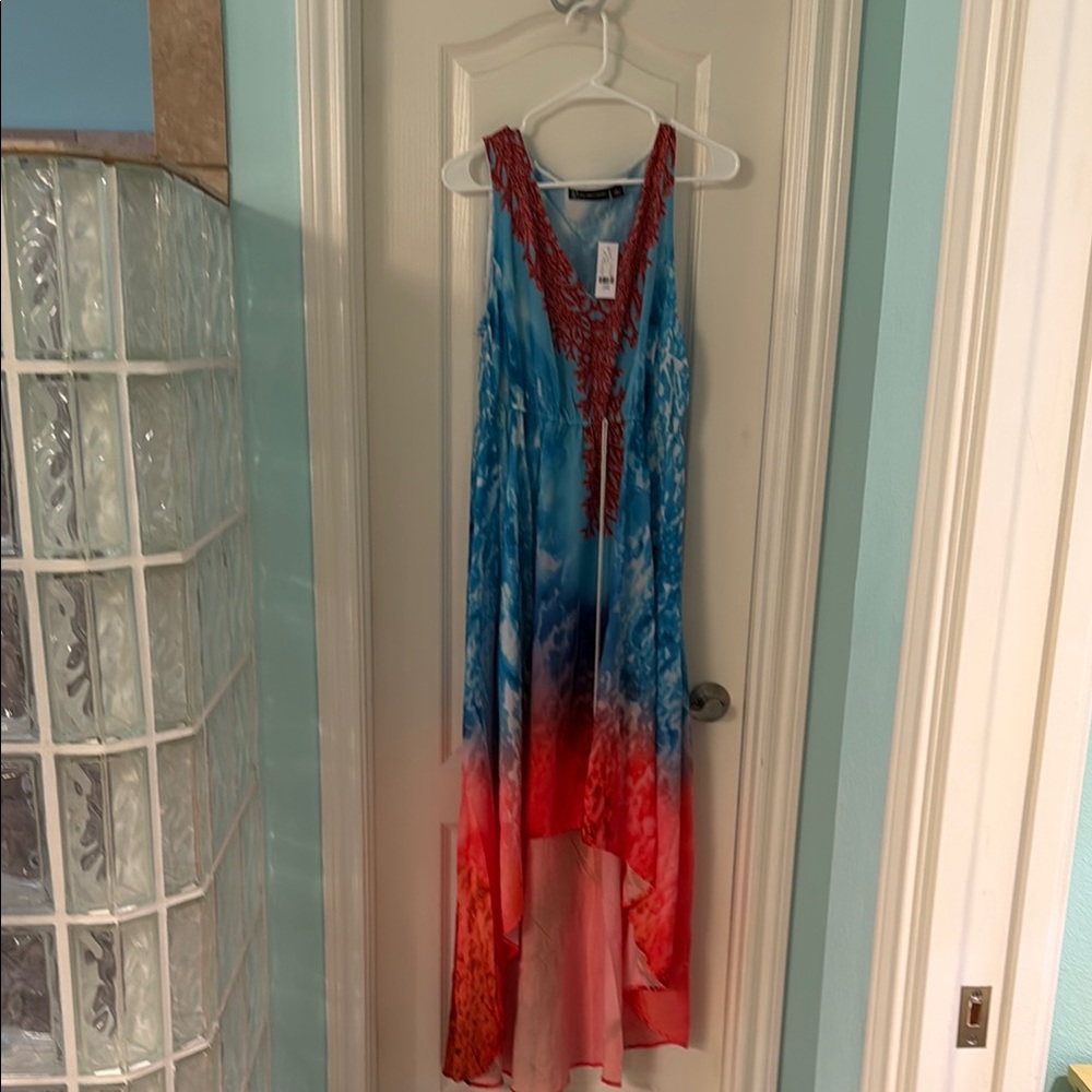 New York & Company Red and Blue Maxi Dress